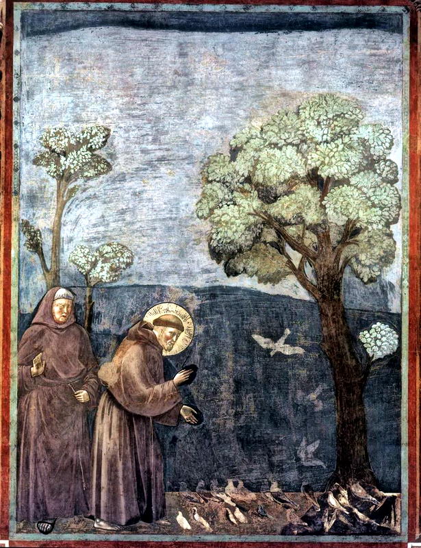 S.Francesco dipinto da Giotto. Clicca per ingrandire